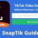Cara Download Video TikTok No Watermark Kualitas HD Pakai SnapTik