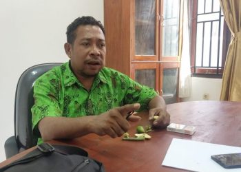Viral 2 Oknum Polisi Pukul Pelajar, Ketua Komisi C DPRD Jayapura Bilang Begini