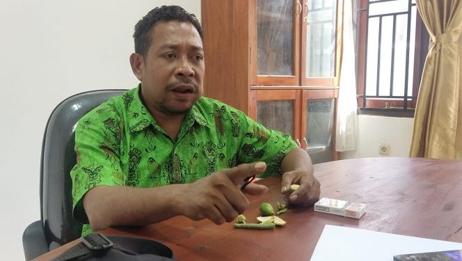 Viral 2 Oknum Polisi Pukul Pelajar, Ketua Komisi C DPRD Jayapura Bilang Begini