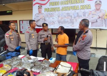 Warga PNG Selundupkan 8,7 Kg Ganja ke Jayapura, Niat Barter dengan 4 Motor
