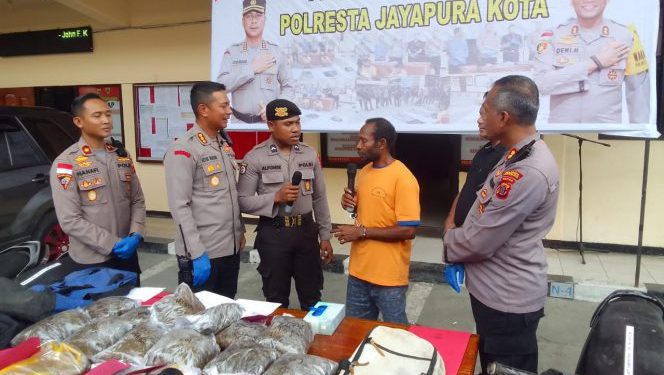 Warga PNG Selundupkan 8,7 Kg Ganja ke Jayapura, Niat Barter dengan 4 Motor