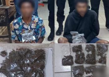 2 Pemuda Terciduk Bawa Ganja di Pelabuhan Jayapura, 1 Paket Simpan di Area Kemaluan