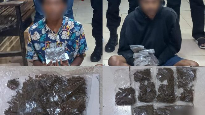 2 Pemuda Terciduk Bawa Ganja di Pelabuhan Jayapura, 1 Paket Simpan di Area Kemaluan