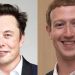 Geger! Elon Musk Tantang Pendiri Facebook Duel di Ring, Mark Zuckerberg: Kirim Lokasi!