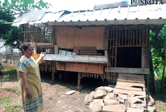 5 Kambing di Bekasi Dicuri, Pemilik Gagal Gelar Aqiqah untuk Orangtua