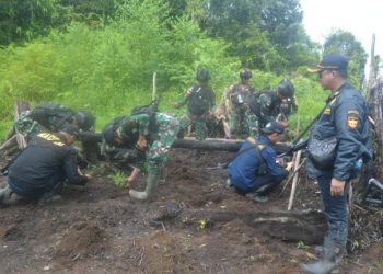 TNI dan Bea Cukai Merauke Temukan Ladang Ganja di Boven Digoel