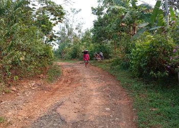 Sekolah Dibangun dari Bantuan Australia, Jalanan Rusak Tak Digubris Pemerintah