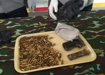 Polisi Temukan Pistol dan 171 Peluru di Hutan Jayapura, Begini Kondisinya