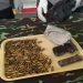 Polisi Temukan Pistol dan 171 Peluru di Hutan Jayapura, Begini Kondisinya