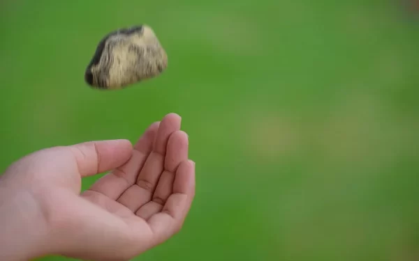 Lempar Batu ke Kaca KRL, Tiga Bocil di Beji Dicokok Polisi