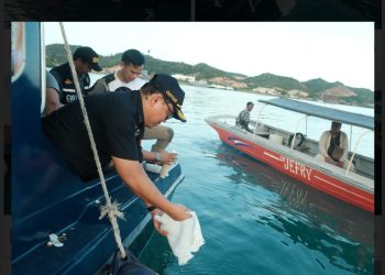 Bea Cukai Batam Gagalkan Penyeludupan Benih Baby Lobster Tujuan Singapura