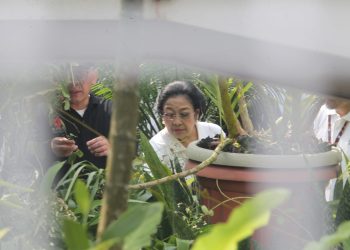 Korupsi Masih Merajalela, Megawati Minta Jokowi Bubarkan KPK