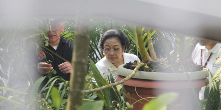 Korupsi Masih Merajalela, Megawati Minta Jokowi Bubarkan KPK