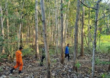 Inilah Akhir Pencarian Remaja Dlingo yang Menghilang Dikejar Ibu di Hutan Muntuk