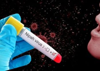 Waspada! Virus Nipah Mulai Telan Korban, Kenali Gejalanya