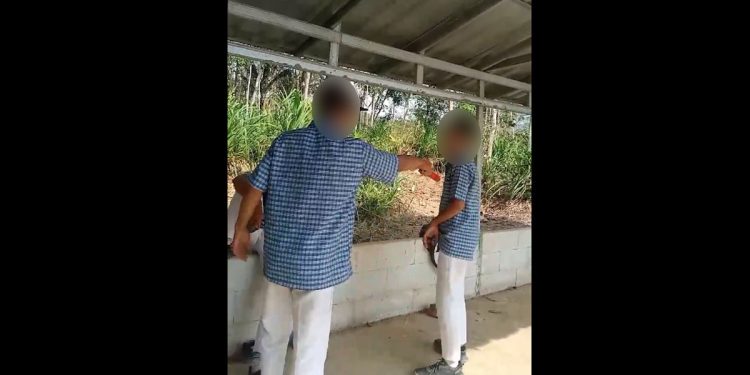 Viral! Video Bullying Siswa SMP di Cilacap, Korban Dihajar Sampai Terkapar