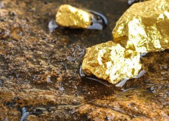 5 Pendulang Emas Tewas Diserang KKB Kodap Yahukimo