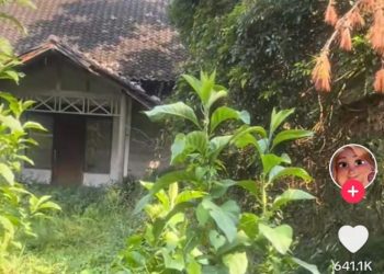 Viral! Wisatawan Booking Vila di Puncak, Malah Dapat Tempat Horor