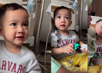 Cipung Terkena Virus yang Menyerang Sistem Pernapasan dan Pencernaan